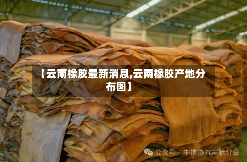 【云南橡胶最新消息,云南橡胶产地分布图】-第2张图片