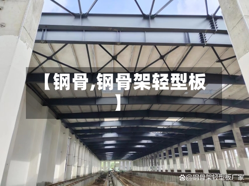 【钢骨,钢骨架轻型板】-第2张图片