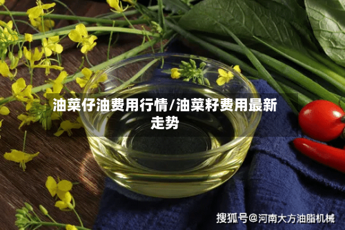 油菜仔油费用行情/油菜籽费用最新走势-第3张图片