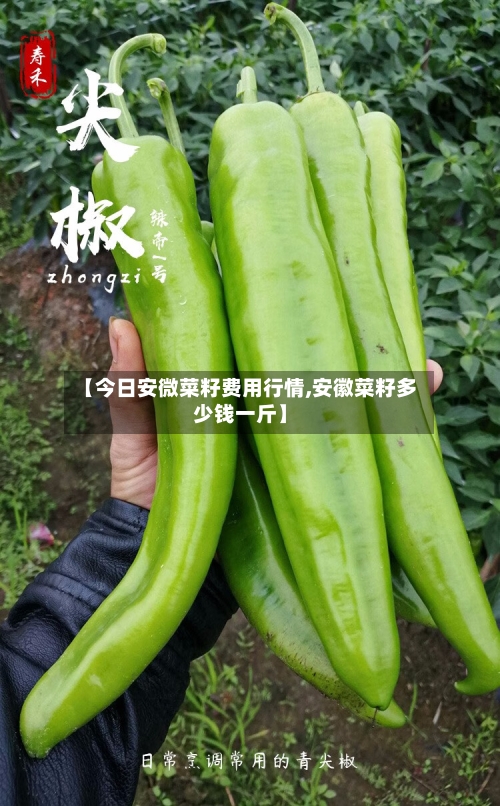 【今日安微菜籽费用行情,安徽菜籽多少钱一斤】-第2张图片