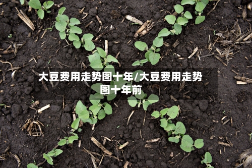 大豆费用走势图十年/大豆费用走势图十年前