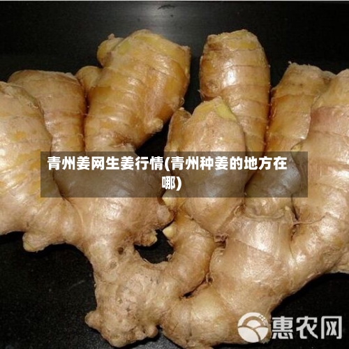 青州姜网生姜行情(青州种姜的地方在哪)