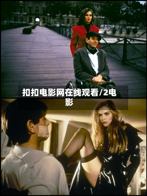 扣扣电影网在线观看/2电影-第3张图片