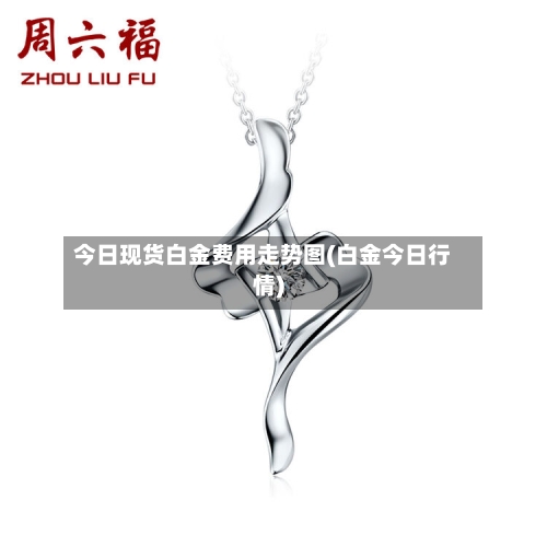 今日现货白金费用走势图(白金今日行情)