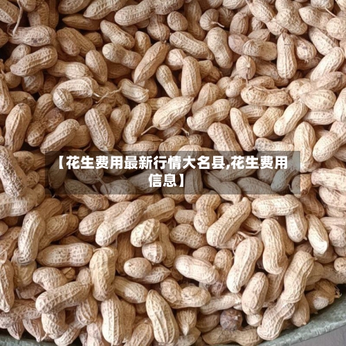 【花生费用最新行情大名县,花生费用信息】