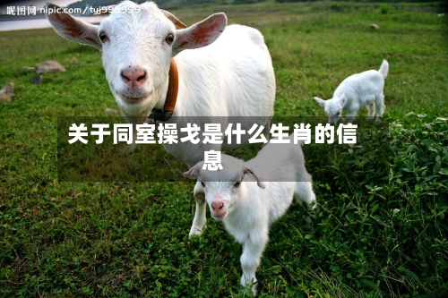 关于同室操戈是什么生肖的信息