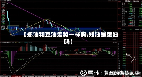 【郑油和豆油走势一样吗,郑油是菜油吗】-第2张图片