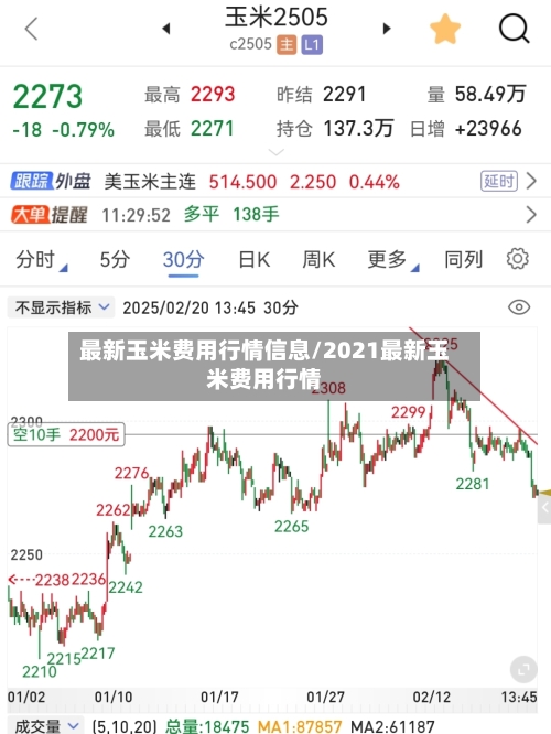 最新玉米费用行情信息/2021最新玉米费用行情