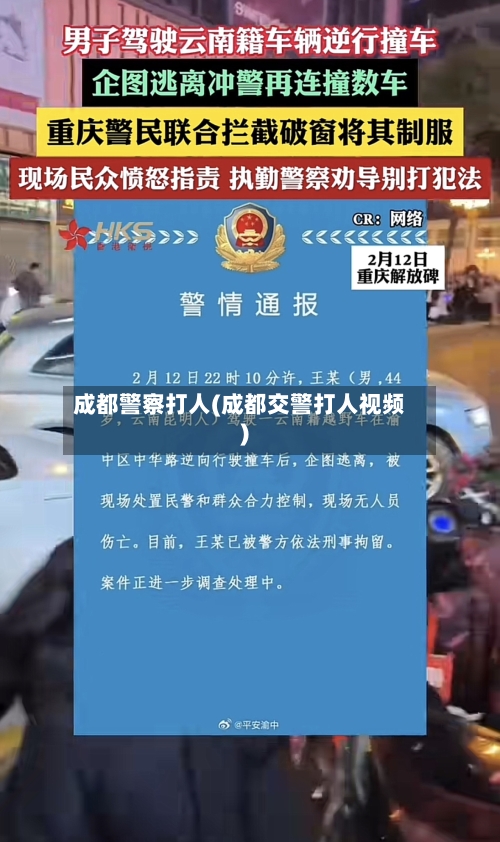 成都警察打人(成都交警打人视频)