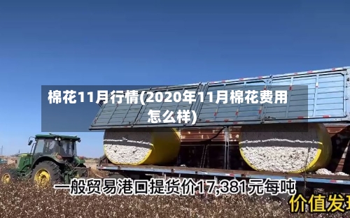 棉花11月行情(2020年11月棉花费用怎么样)