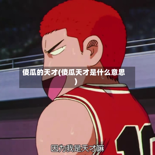 傻瓜的天才(傻瓜天才是什么意思)