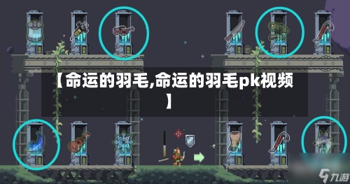 【命运的羽毛,命运的羽毛pk视频】-第3张图片