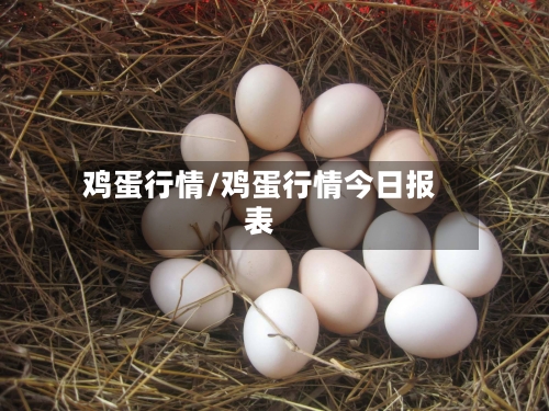 鸡蛋行情/鸡蛋行情今日报表-第2张图片