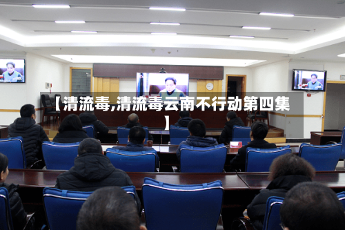 【清流毒,清流毒云南不行动第四集】