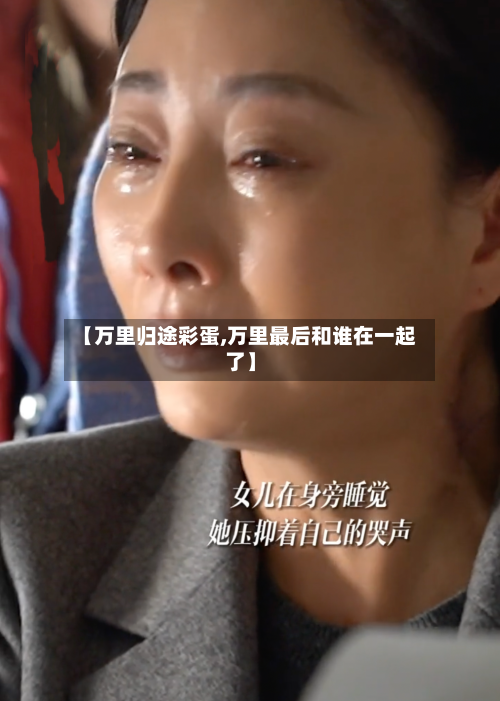 【万里归途彩蛋,万里最后和谁在一起了】