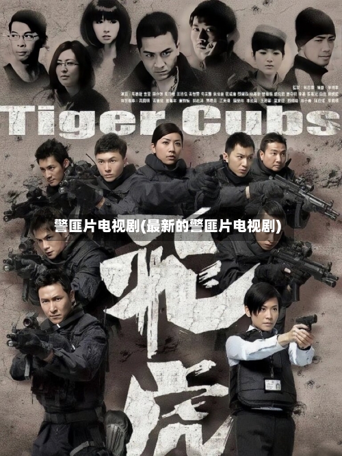 警匪片电视剧(最新的警匪片电视剧)