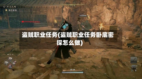 盗贼职业任务(盗贼职业任务卧底密探怎么做)-第3张图片
