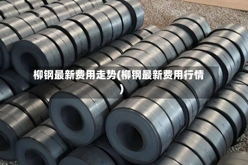 柳钢最新费用走势(柳钢最新费用行情)-第2张图片