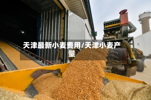 天津最新小麦费用/天津小麦产量