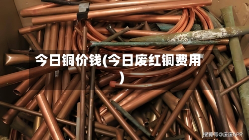 今日铜价钱(今日废红铜费用)