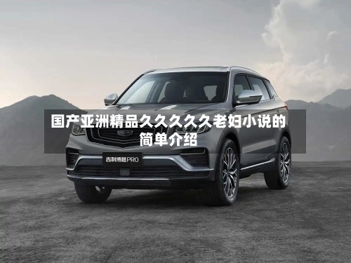 国产亚洲精品久久久久久老妇小说的简单介绍-第3张图片