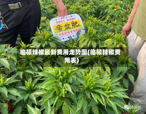 临颍辣椒最新费用走势图(临颍辣椒费用表)