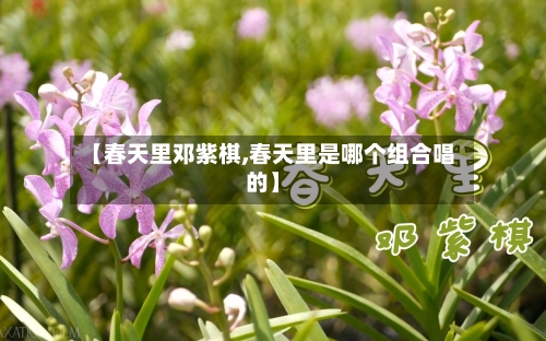 【春天里邓紫棋,春天里是哪个组合唱的】