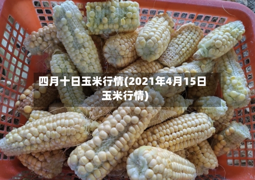 四月十日玉米行情(2021年4月15日玉米行情)