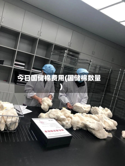 今日国储棉费用(国储棉数量)-第2张图片