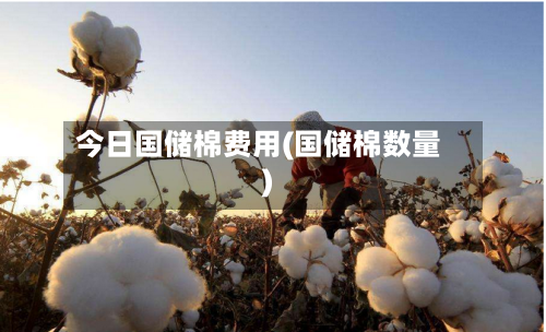 今日国储棉费用(国储棉数量)