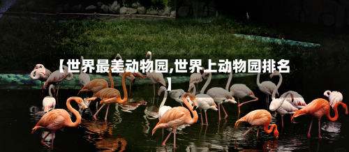 【世界最差动物园,世界上动物园排名】-第3张图片