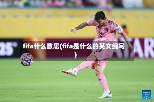 fifa什么意思(fifa是什么的英文缩写)-第3张图片