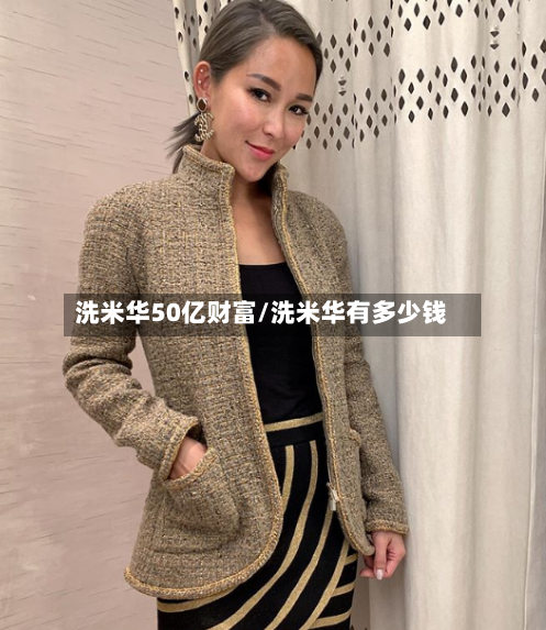洗米华50亿财富/洗米华有多少钱