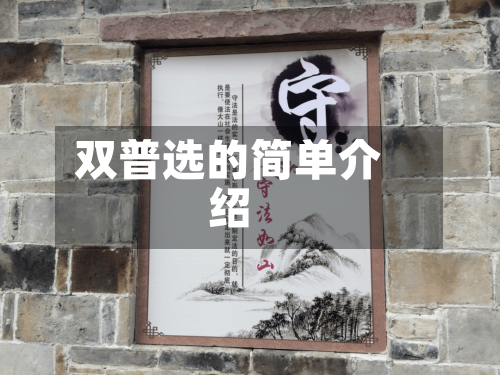 双普选的简单介绍