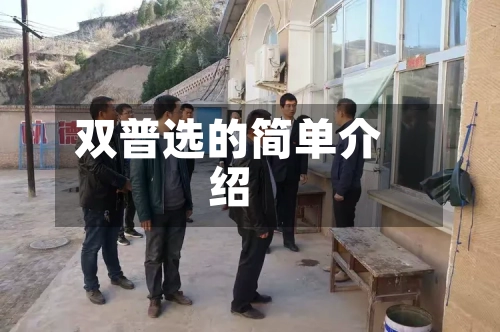 双普选的简单介绍-第2张图片