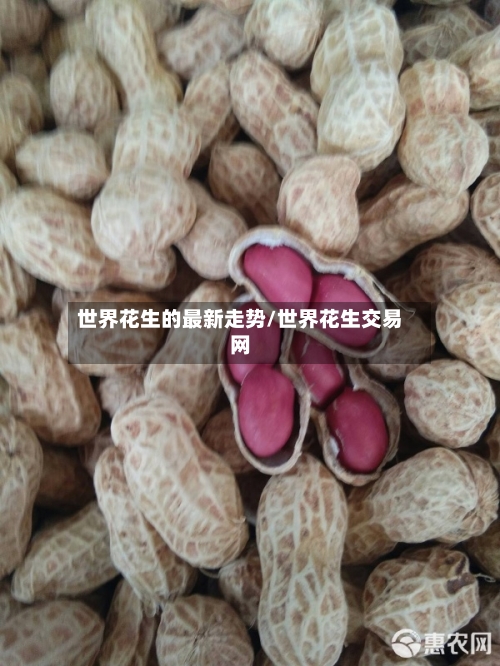 世界花生的最新走势/世界花生交易网