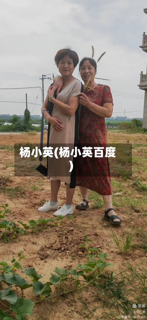 杨小英(杨小英百度)-第2张图片