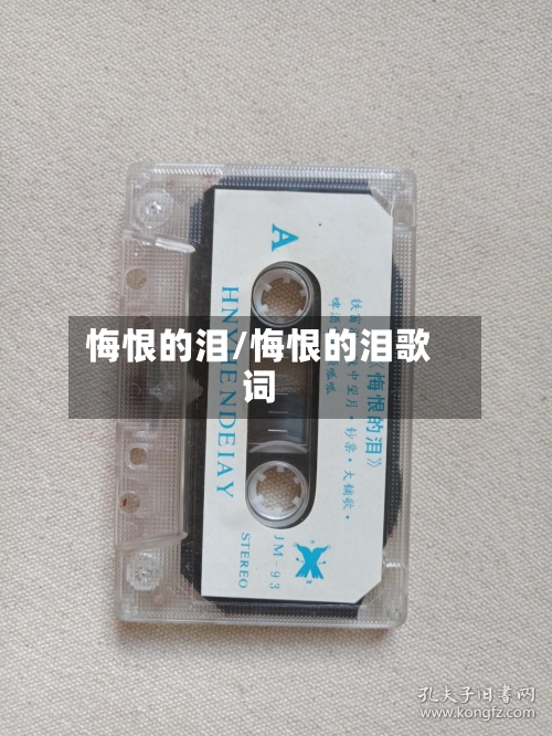 悔恨的泪/悔恨的泪歌词-第2张图片