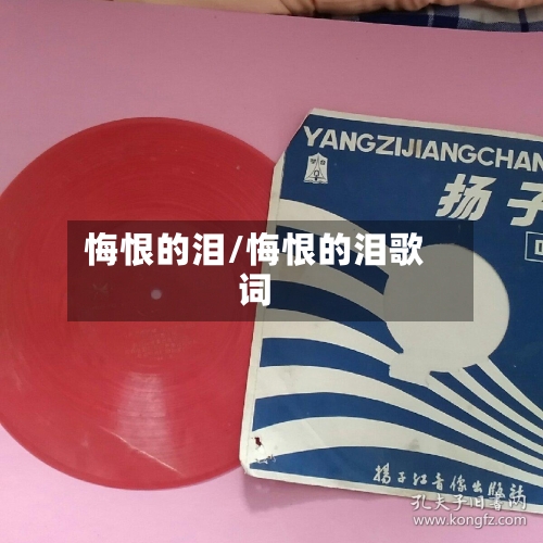 悔恨的泪/悔恨的泪歌词-第3张图片