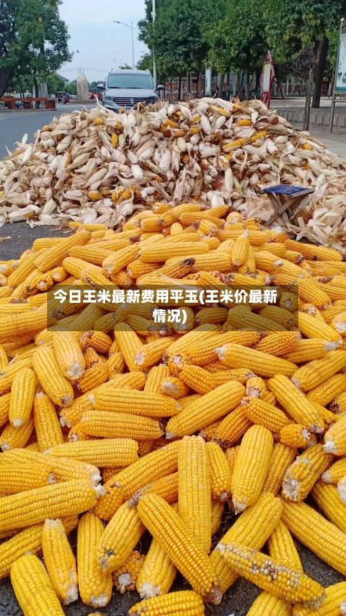 今日王米最新费用平玉(王米价最新情况)