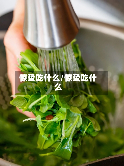 惊蛰吃什么/惊蛰吃什么