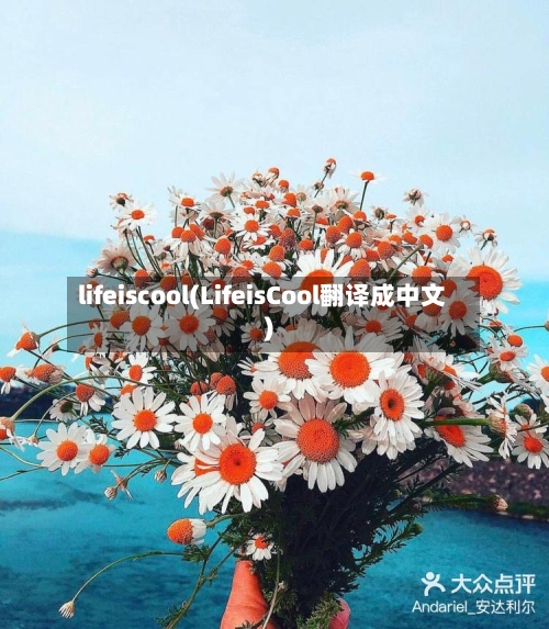 lifeiscool(LifeisCool翻译成中文)-第2张图片