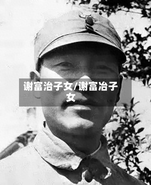 谢富治子女/谢富冶子女-第3张图片