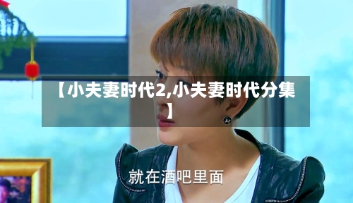 【小夫妻时代2,小夫妻时代分集】