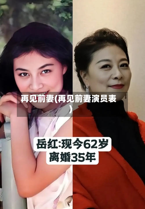 再见前妻(再见前妻演员表)-第2张图片