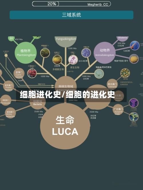 细胞进化史/细胞的进化史