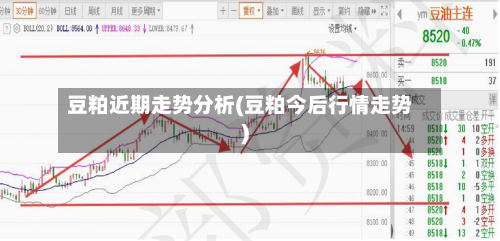 豆粕近期走势分析(豆粕今后行情走势)-第2张图片