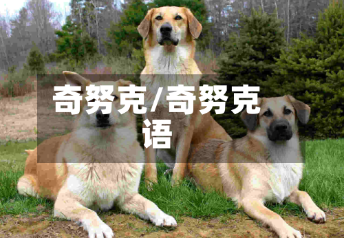 奇努克/奇努克语-第3张图片