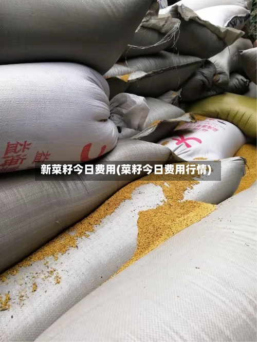 新菜籽今日费用(菜籽今日费用行情)