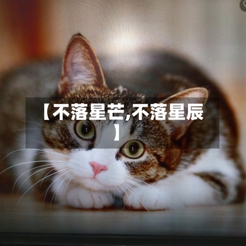 【不落星芒,不落星辰】